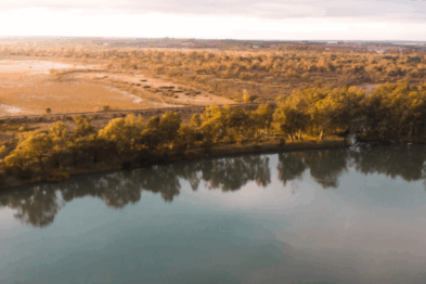 Australian lake fields