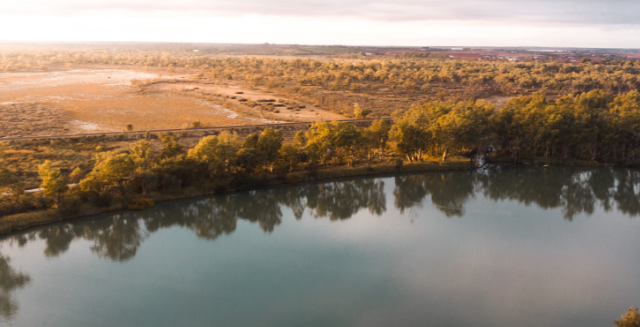 Australian lake fields